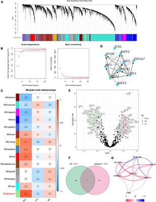 Identification and immune characteristics of molecular subtypes related to protein glycosylation in Alzheimer’s disease